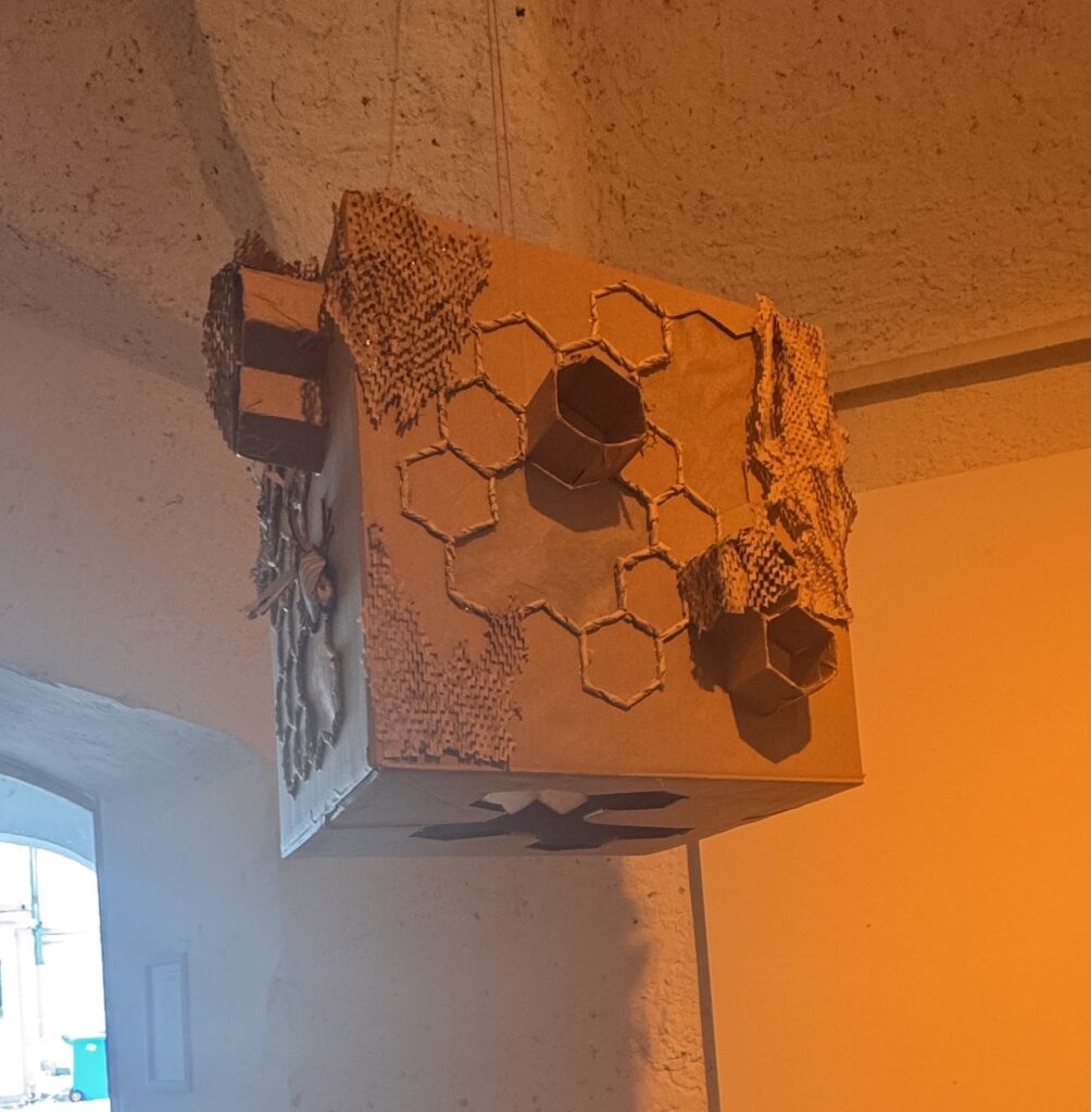 Amelie Kuffer Ausstellungsbeitrag out of the Box, gebauter Raum aus Karton Q12 eA